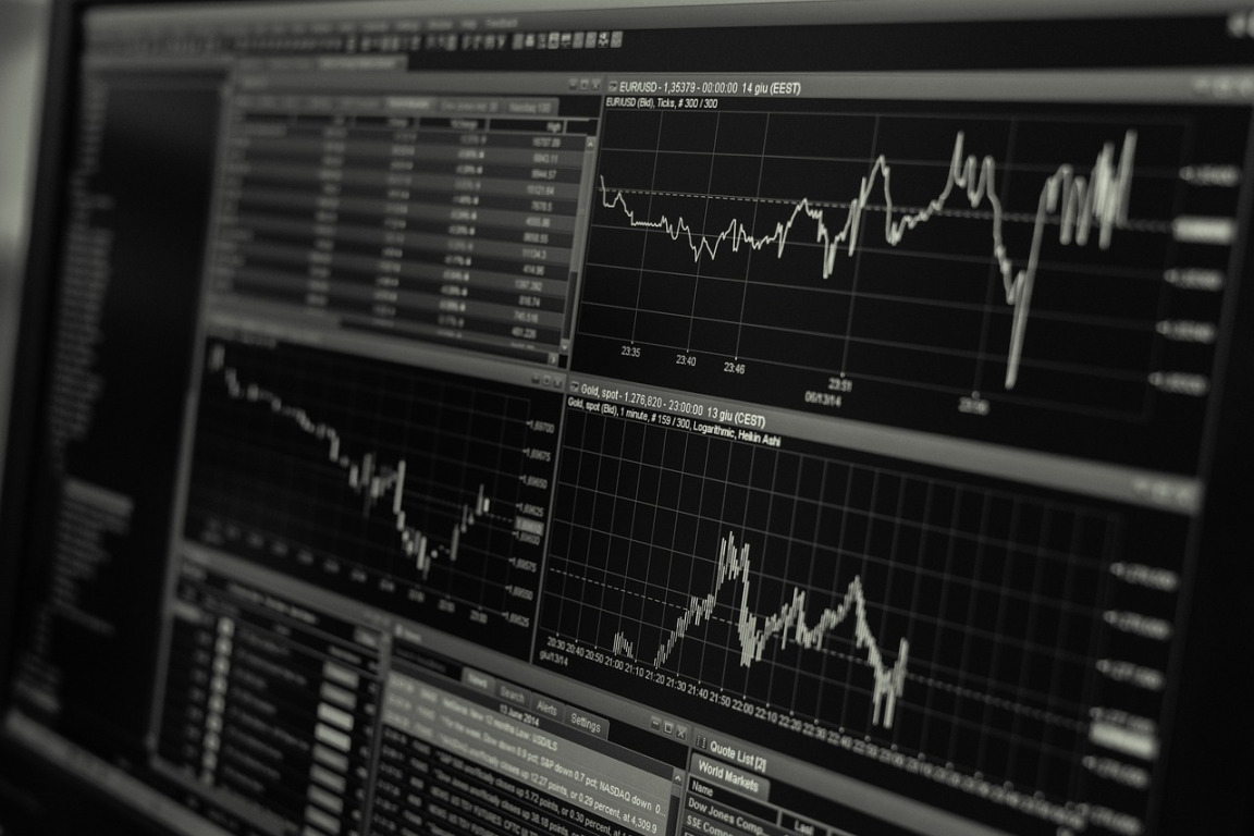 portfolio growth chart